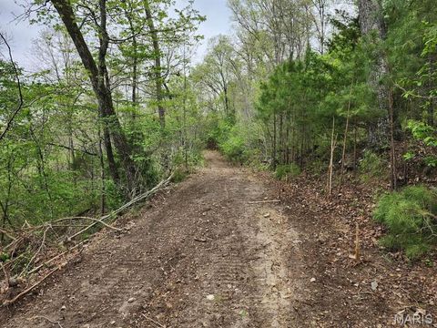 Tiny photo for 3528 M- County Road 329, Ava, MO 65608 (MLS # 26023977)