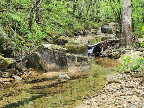Tiny photo for 3528 M- County Road 329, Ava, MO 65608 (MLS # 26023977)