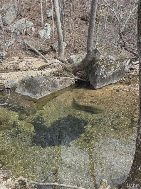 Tiny photo for 3528 M- County Road 329, Ava, MO 65608 (MLS # 26023977)