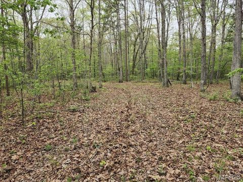 Tiny photo for 3528 M- County Road 329, Ava, MO 65608 (MLS # 26023977)