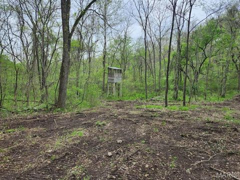 Tiny photo for 3528 M- County Road 329, Ava, MO 65608 (MLS # 26023977)