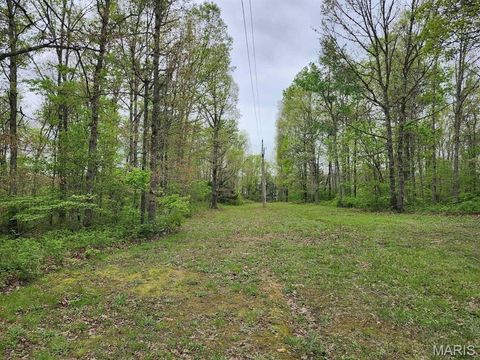 Tiny photo for 3528 M- County Road 329, Ava, MO 65608 (MLS # 26023977)