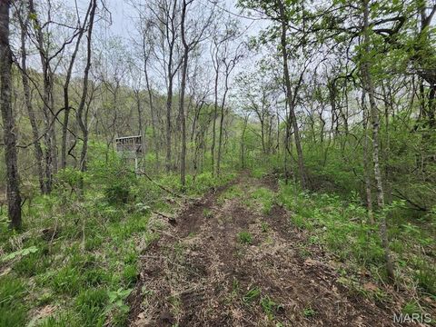 Tiny photo for 3528 M- County Road 329, Ava, MO 65608 (MLS # 26023977)