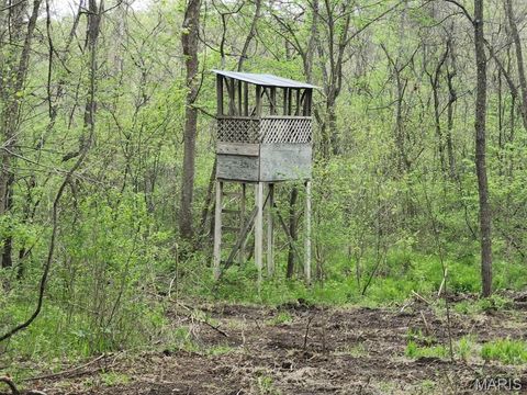Tiny photo for 3528 M- County Road 329, Ava, MO 65608 (MLS # 26023977)