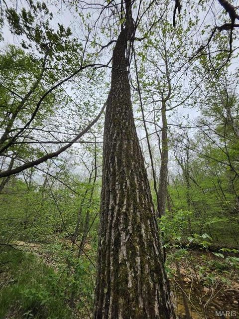 Tiny photo for 3528 M- County Road 329, Ava, MO 65608 (MLS # 26023977)