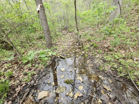 Tiny photo for 3528 M- County Road 329, Ava, MO 65608 (MLS # 26023977)