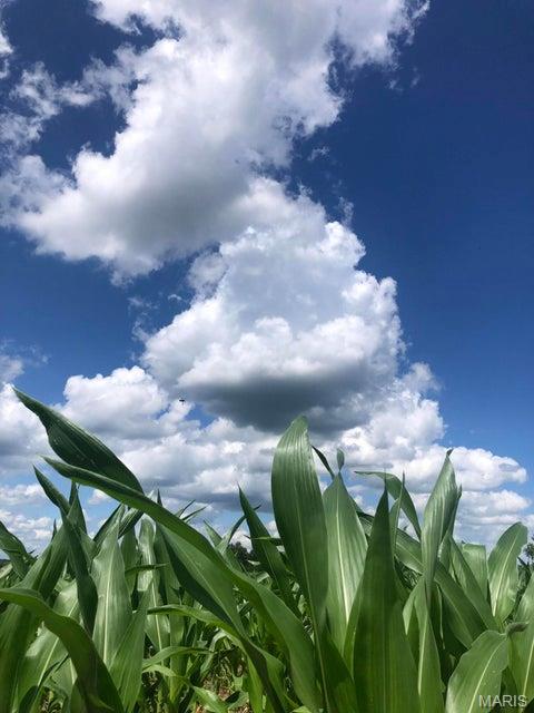 N/A - Farm