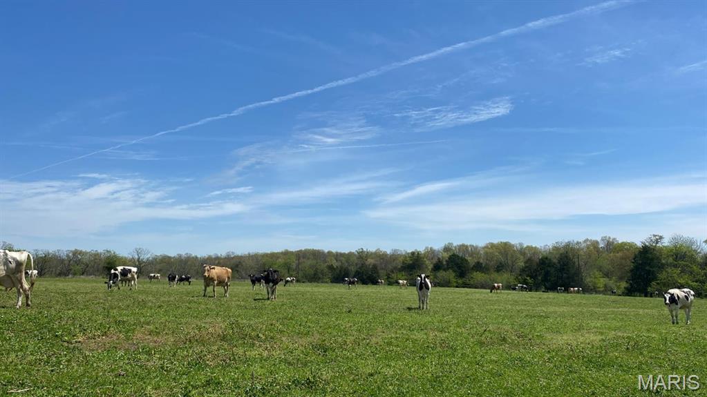 N/A - Farm