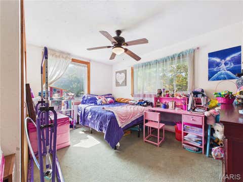Tiny photo for 1636 Pcr 730, Perryville, MO 63775 (MLS # 26046918)