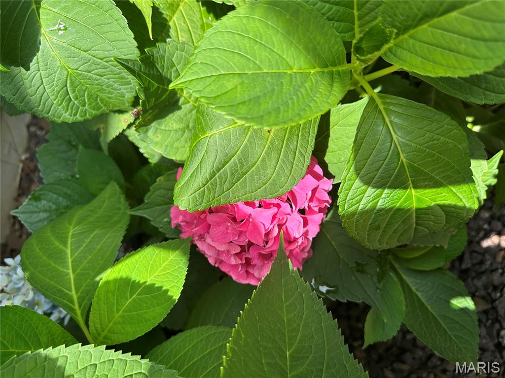 Das Weindorf Sub - Residential