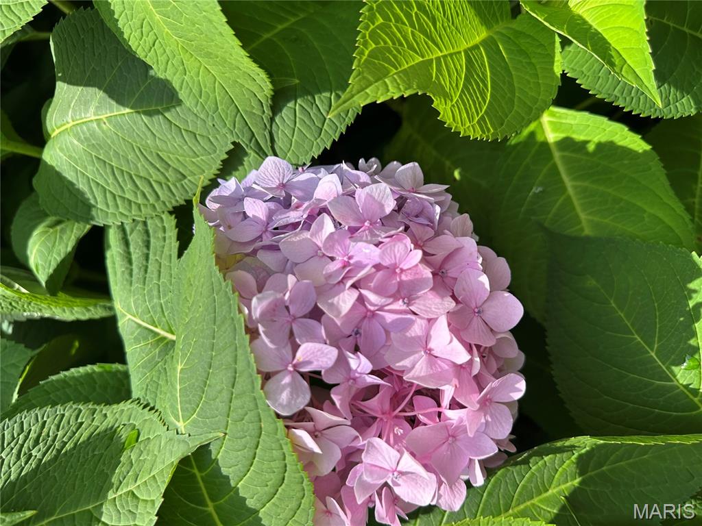 Das Weindorf Sub - Residential