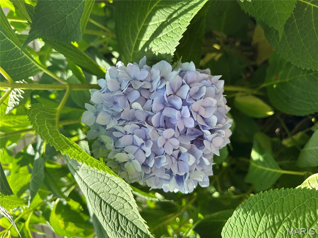 Das Weindorf Sub - Residential