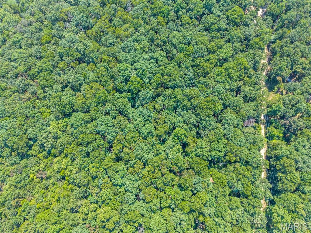 Photo of 10 Little Deer Drive, Dittmer, MO 63023 (MLS # 26056172)