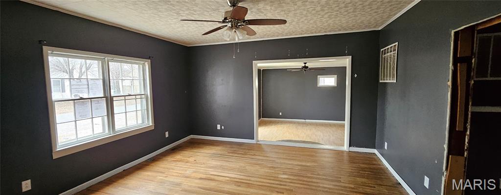 Old Town Of Hibbard - Residential