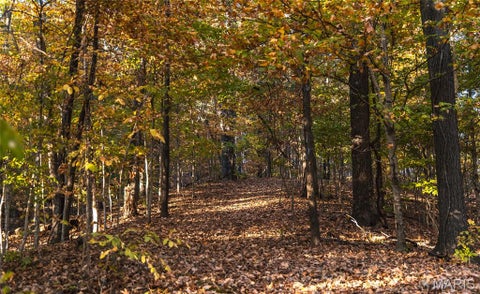 Tiny photo for 10162 Highway D, Frohna, MO 63748 (MLS # 26068670)
