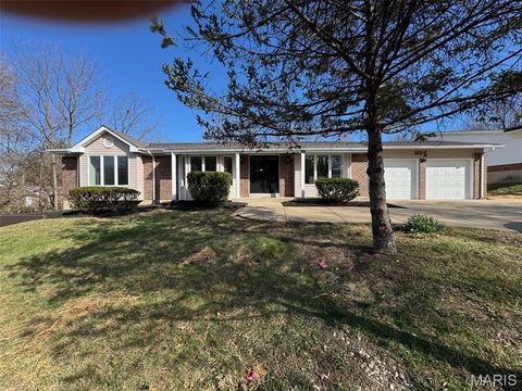 Photo of 924 Fernview Drive, Creve Coeur, MO 63141 (MLS # 26015264)