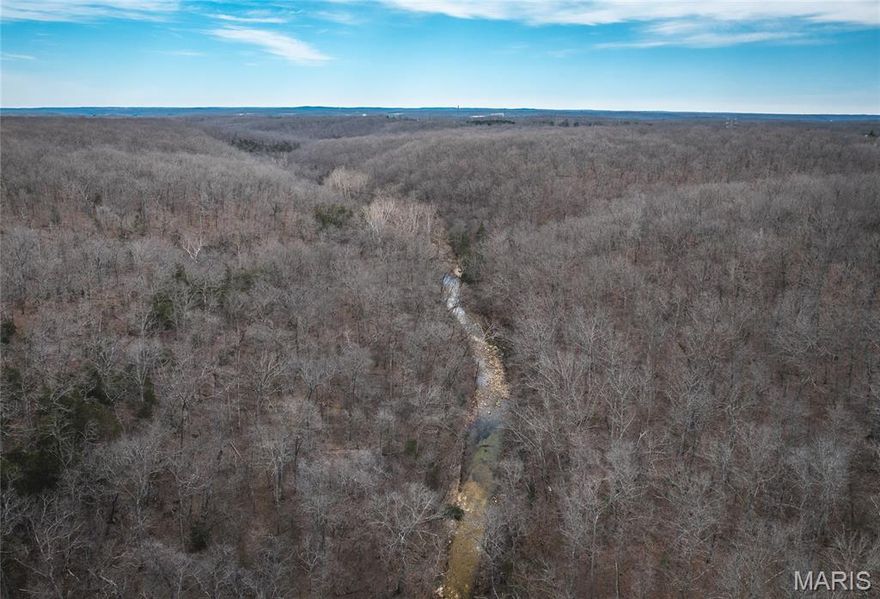 58 m/l acres of solid hunting and recreational ground with a good mix of timber and terrain. The property features mature white oak trees that produce acorns, helping hold deer throughout the season.

A wet weather creek runs through the property, providing a natural water source for wildlife. The combination of ridges and valleys creates multiple good deer stand locations.

This tract offers strong deer and turkey hunting and has water and electric available, making it a good option for a cabin or future homesite.

If you’re looking for a practical hunting property with the right habitat and setup, this one is worth a look.