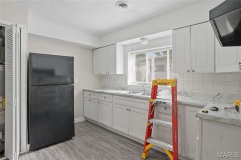 Tiny photo for 1129 Haley Avenue, St Louis, MO 63121 (MLS # 26025668)