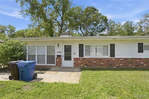 Photo of 1129 Haley Avenue, St Louis, MO 63121 (MLS # 26025668)