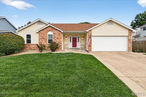 1196 Colby Court St Peters MO 63376