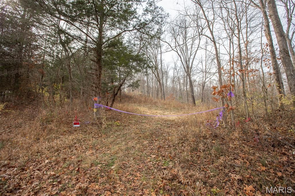 Photo of 0 Highway O, Cuba, MO 65453 (MLS # 25080155)