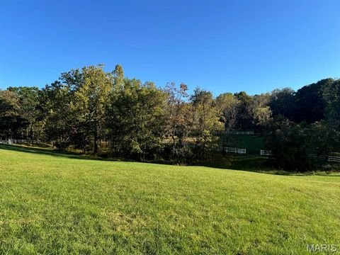 Tiny photo for 18324 Pinhook Hollow Drive, Wildwood, MO 63069 (MLS # 26020268)
