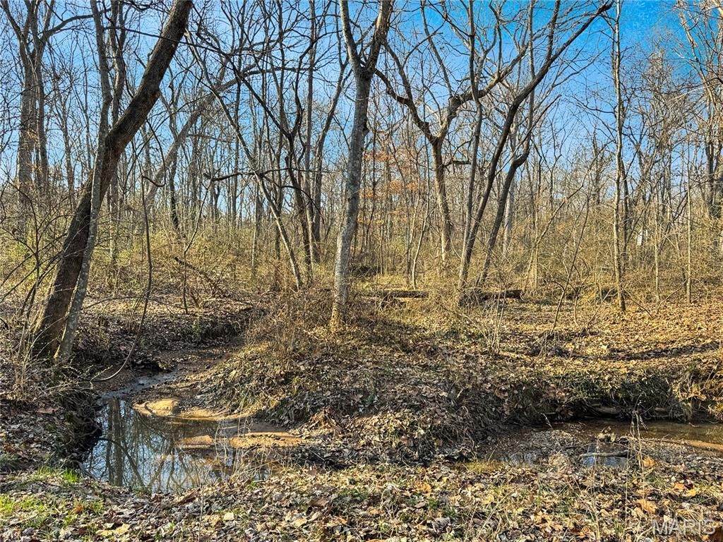 Photo of 391 Osage Drive, Union, MO 63084 (MLS # 26013580)