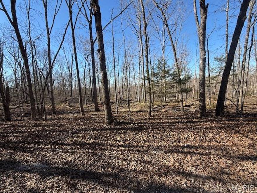 20 acres for sale in a private, peaceful location. It has been recently logged and is ready for a variety of uses, including hunting, farming or building your dream home. Additional acreage is available for purchase if more land is desired.
