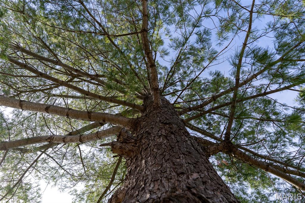 None-Unrestricted - Residential