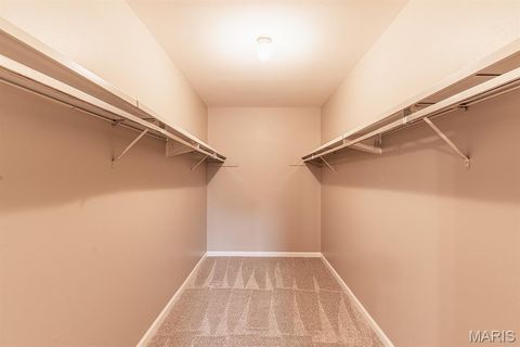 Tiny photo for 590 Sarah Lane #208, Creve Coeur, MO 63141 (MLS # 25076947)