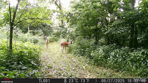 Tiny photo for Curryville, MO 63339 (MLS # 25045755)