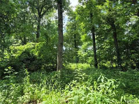 Tiny photo for Curryville, MO 63339 (MLS # 25045755)