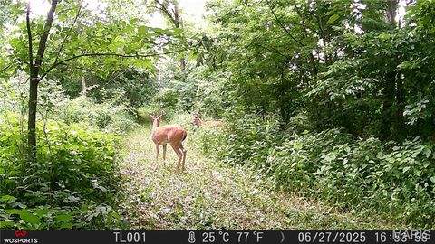 Tiny photo for Curryville, MO 63339 (MLS # 25045755)