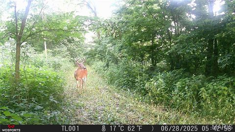 Tiny photo for Curryville, MO 63339 (MLS # 25045755)