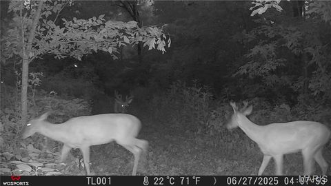 Tiny photo for Curryville, MO 63339 (MLS # 25045755)
