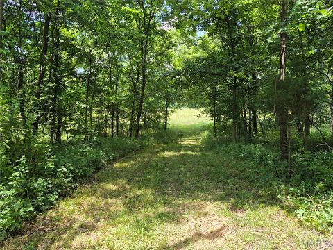 Tiny photo for Curryville, MO 63339 (MLS # 25045755)