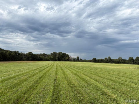 Photo of 10 Hickory Lick Rd., Wright City, MO 63390 (MLS # 26053698)