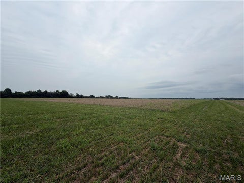Tiny photo for 10 Hickory Lick Rd., Wright City, MO 63390 (MLS # 26053698)