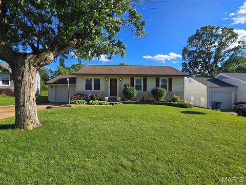 Tiny photo for 10808 Three Court Drive, St Louis, MO 63123 (MLS # 26030513)