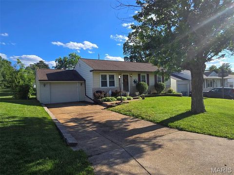 Tiny photo for 10808 Three Court Drive, St Louis, MO 63123 (MLS # 26030513)