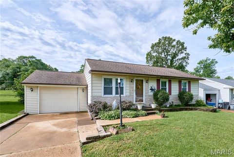 Photo of 10808 Three Court Drive, St Louis, MO 63123 (MLS # 26030513)