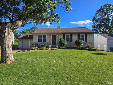 Photo of 10808 Three Court Drive, St Louis, MO 63123 (MLS # 26030513)