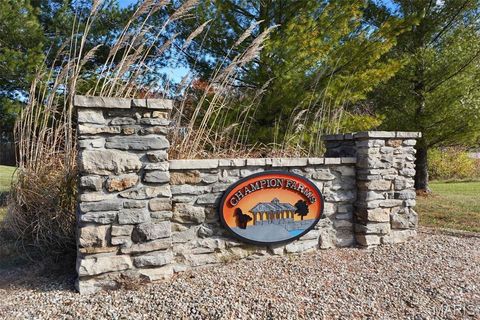 Tiny photo for 61 Champion Circle, Troy, MO 63379 (MLS # 25075471)