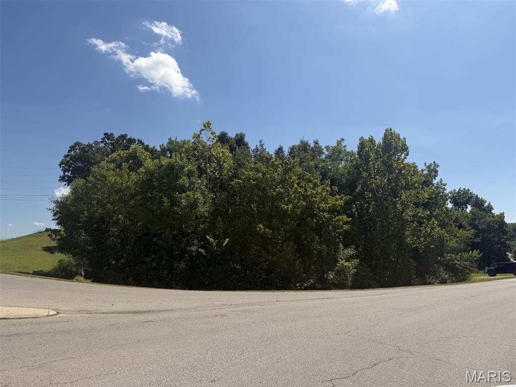 Photo of 2443 Maud ST, Poplar Bluff, MO 63901 (MLS # 26056702)