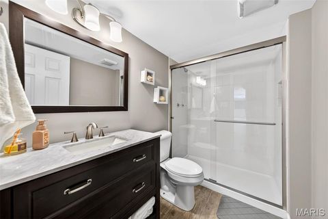 Tiny photo for 5009 Fischer Way, Imperial, MO 63052 (MLS # 26031065)
