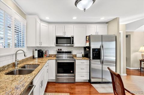 Tiny photo for 15812 Newton Ridge Drive, Chesterfield, MO 63017 (MLS # 25069545)