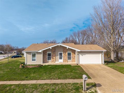 699 Fox Plains Drive Florissant MO 63034