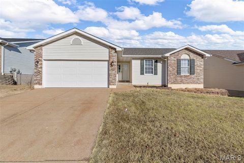 1545 Robert Thompson Drive Festus MO 63028