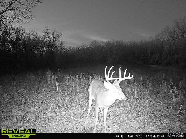 Kingston Lake Estates - Land