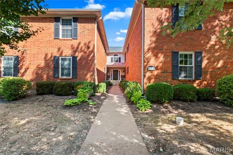 Photo of 117 E Clinton Place #7, Kirkwood, MO 63122 (MLS # 25064043)